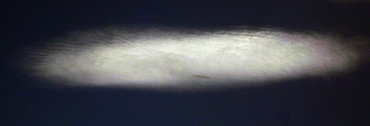 trefin cloud